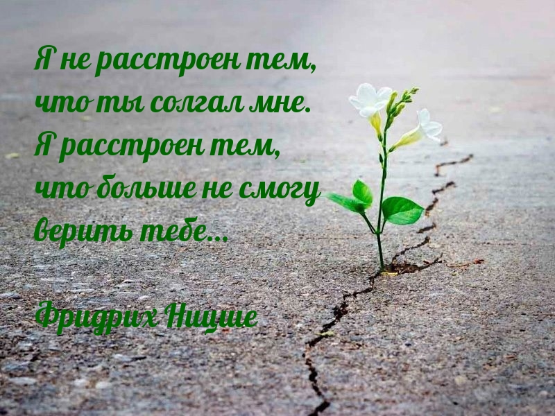 Я не расстроен тем, что ты солгал мне. 
