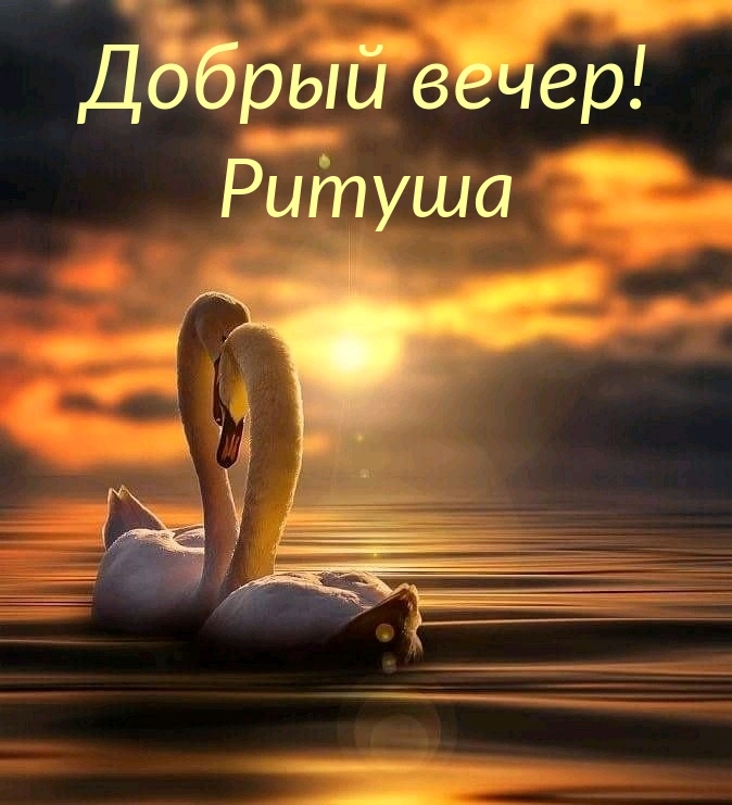   :  ! 