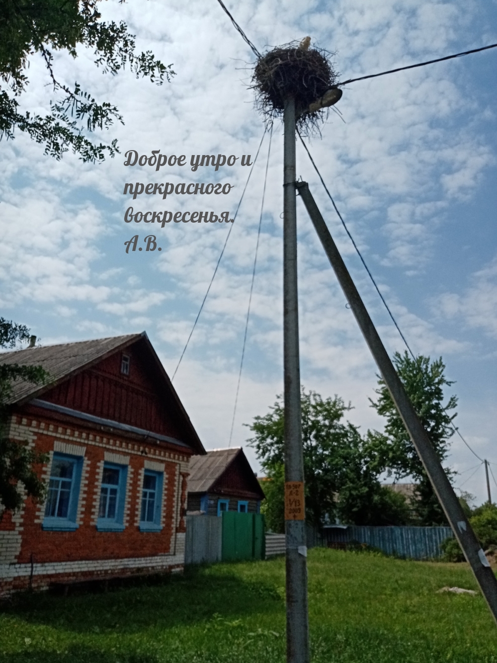   :     . 