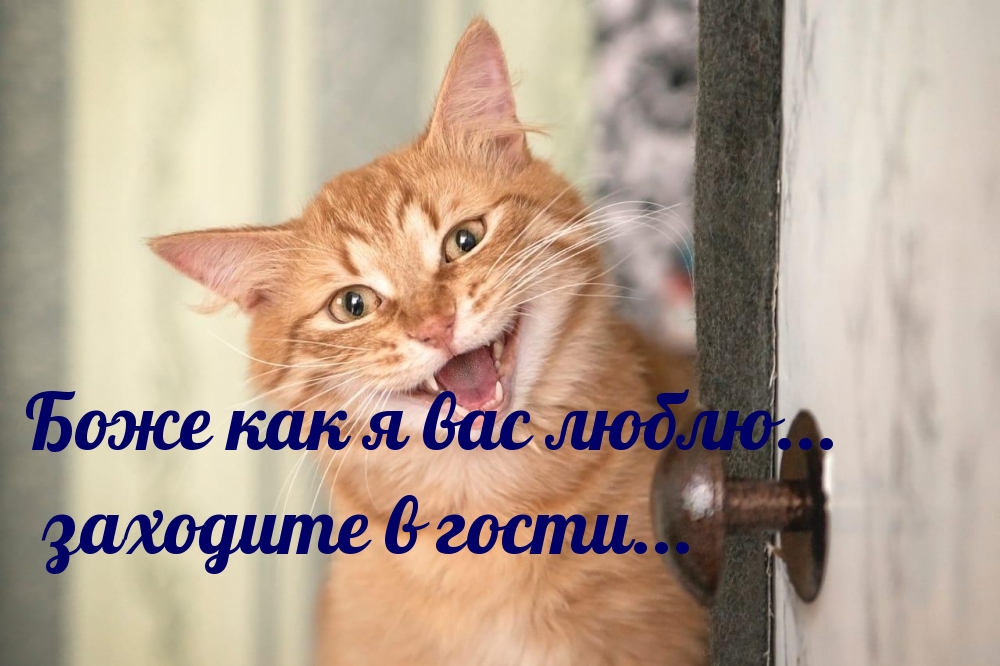   :     ...   ...