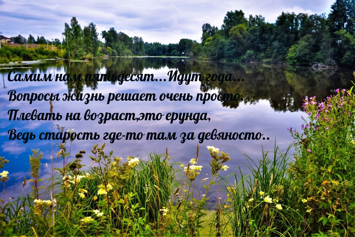   :   ... ...