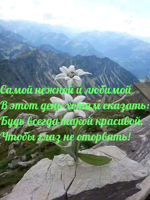   :         