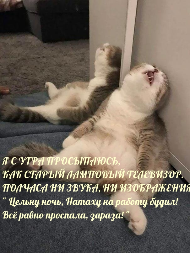   :    ,    . 