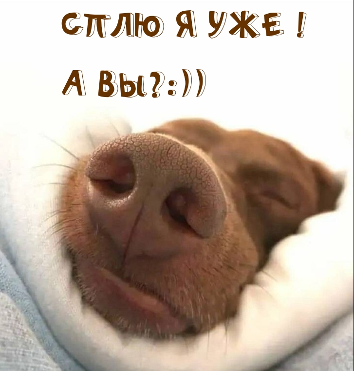   :   !  ?:))