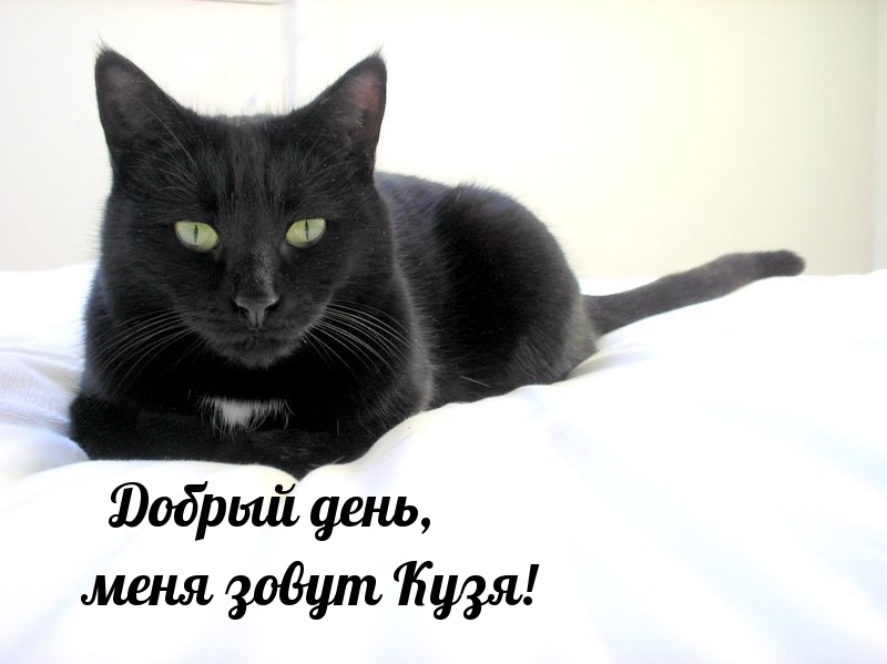   :  ,   !