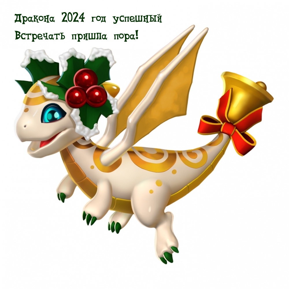  2024     !