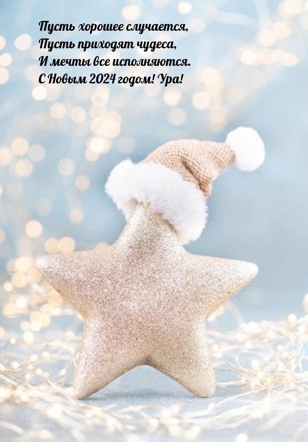   :    .   2024 ! !