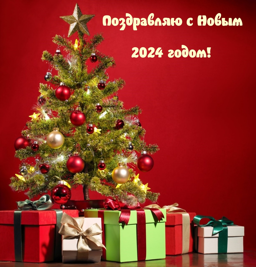    2024 !