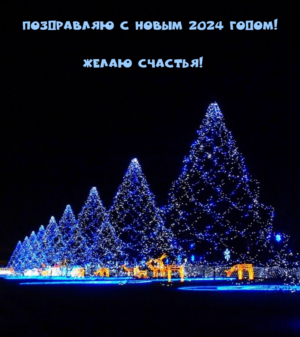   :    2024 !  !