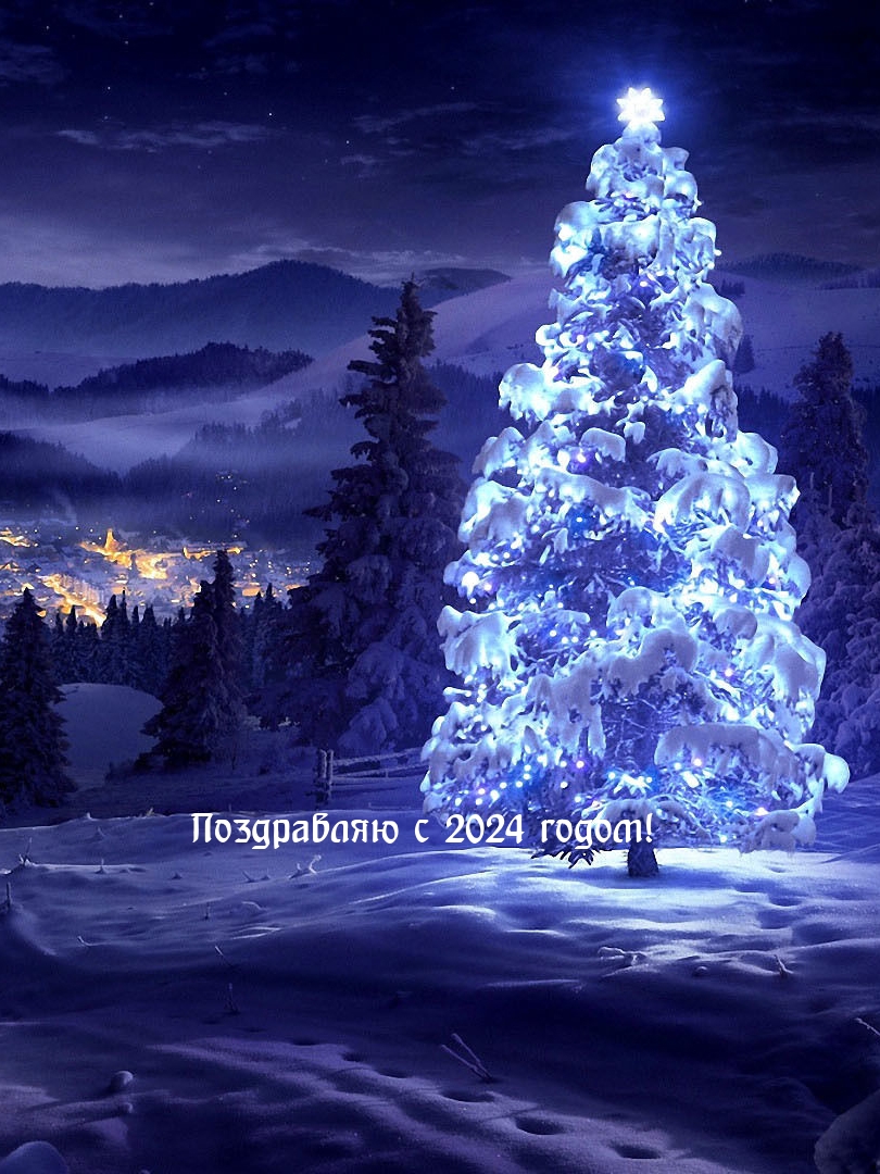   :   2024 !