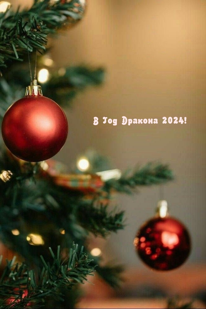    2024!.