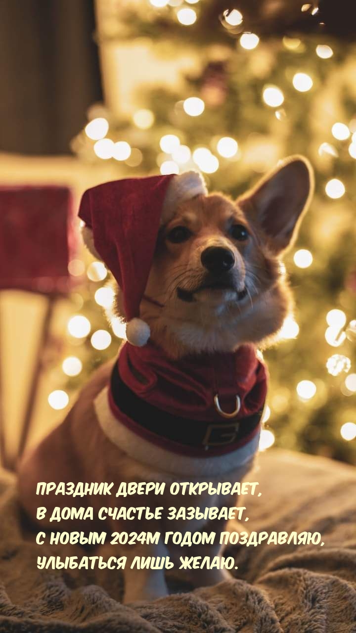С Новым 2024м годом поздравляю, улыбаться лишь желаю..