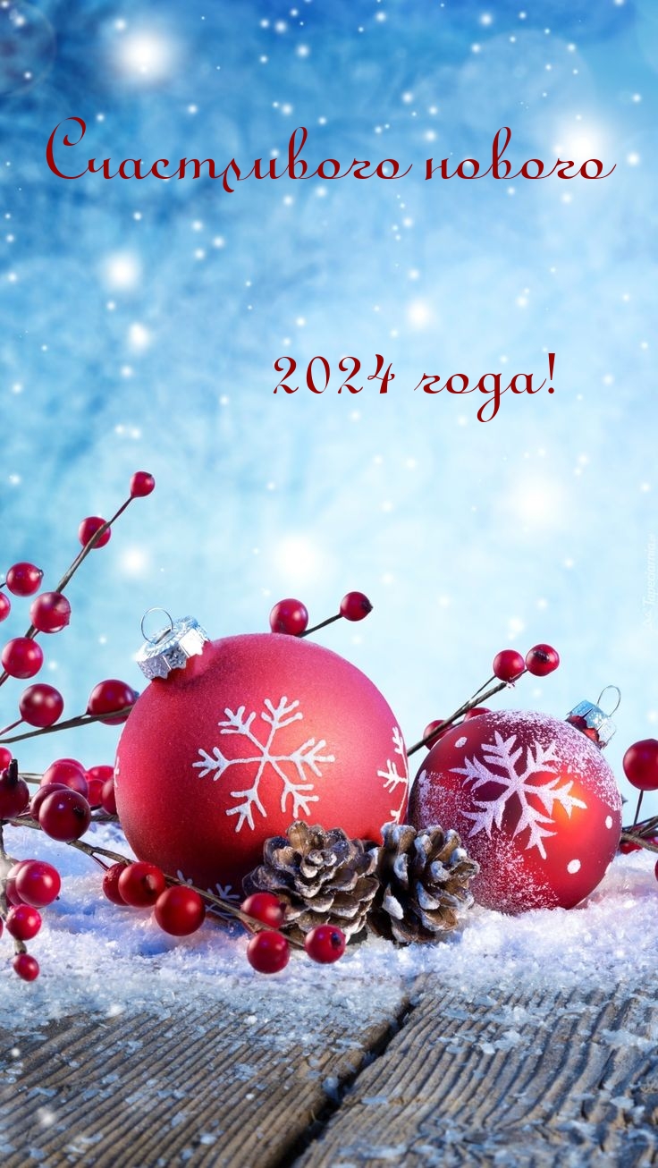   :   2024 !