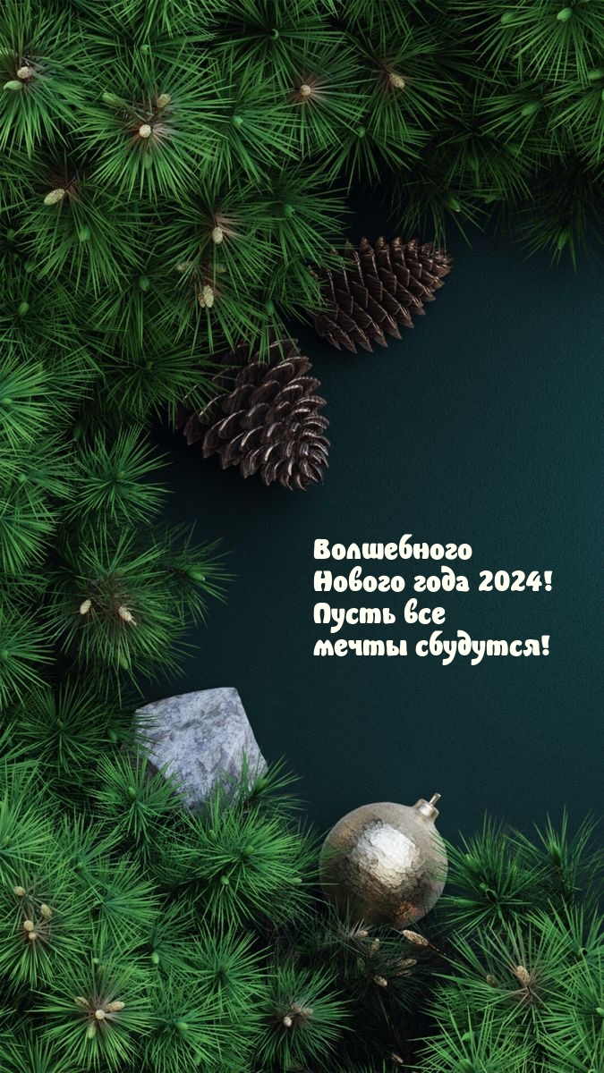   :    2024!    !