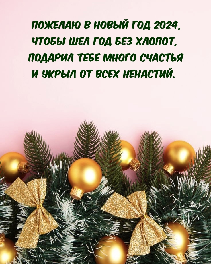 Пожелаю в Новый Год 2024, чтобы шел год без хлопот