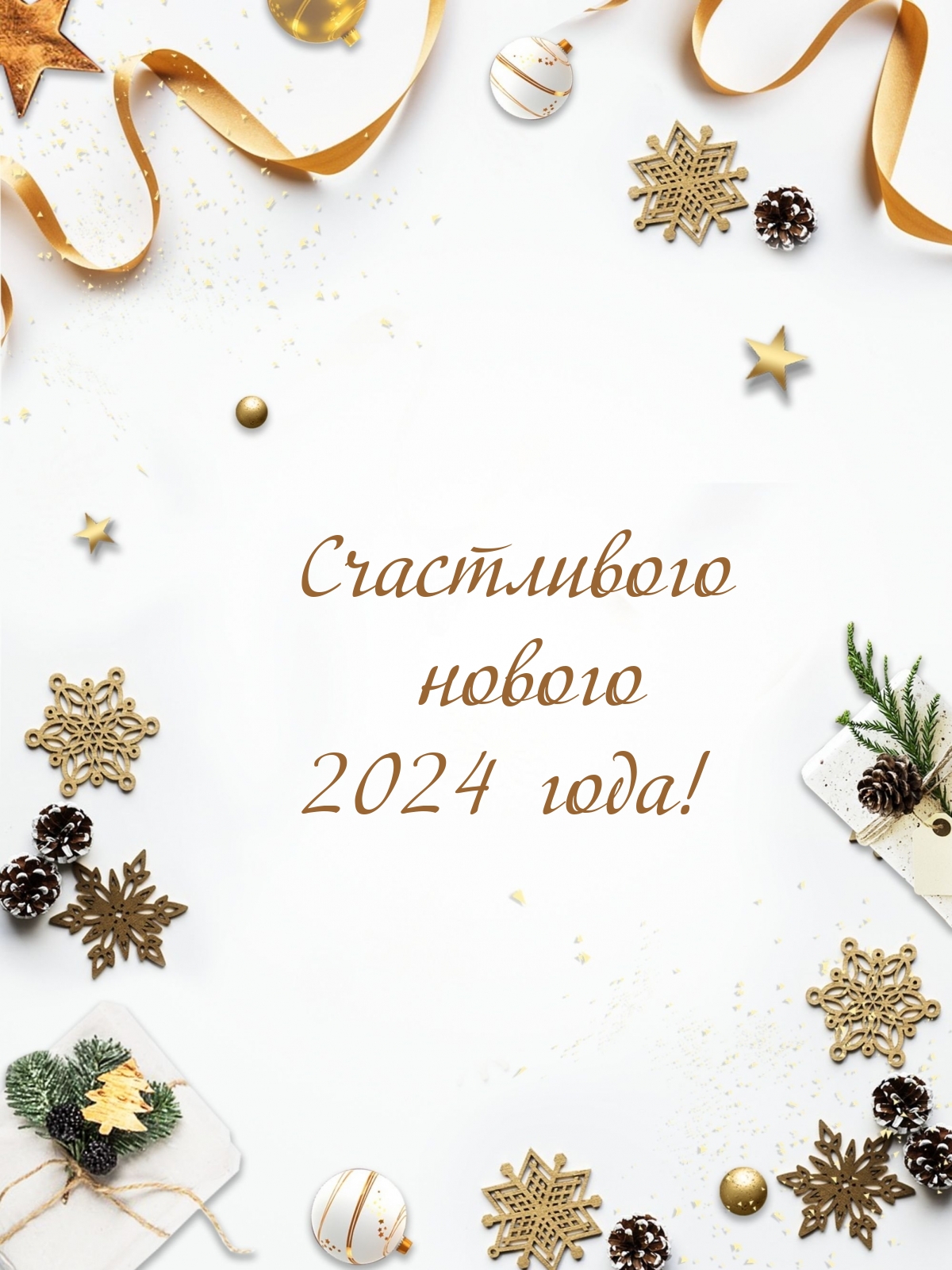  :   2024 !
