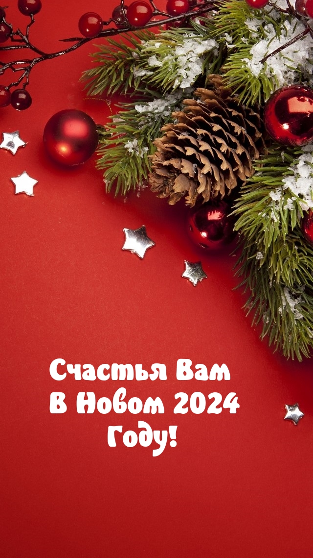   :     2024 !