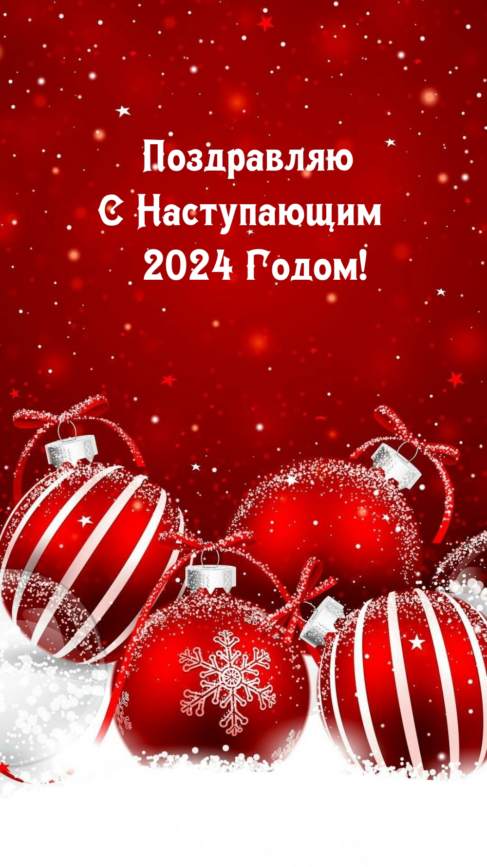   :    2024 !