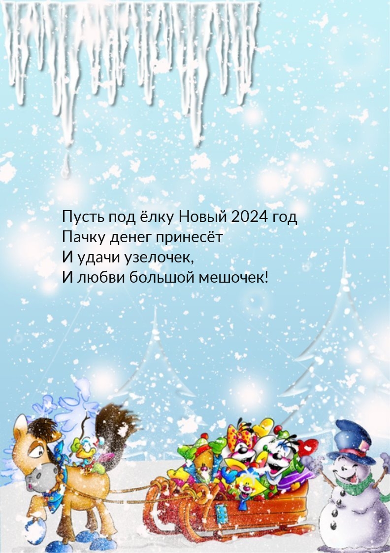   :     2024       