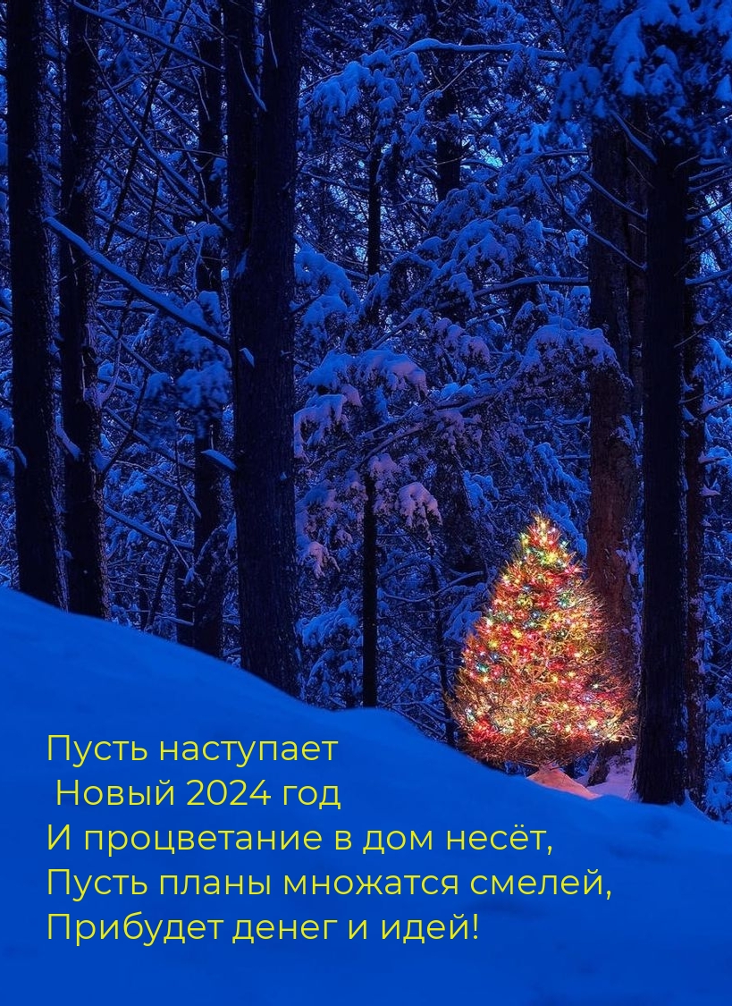    2024      