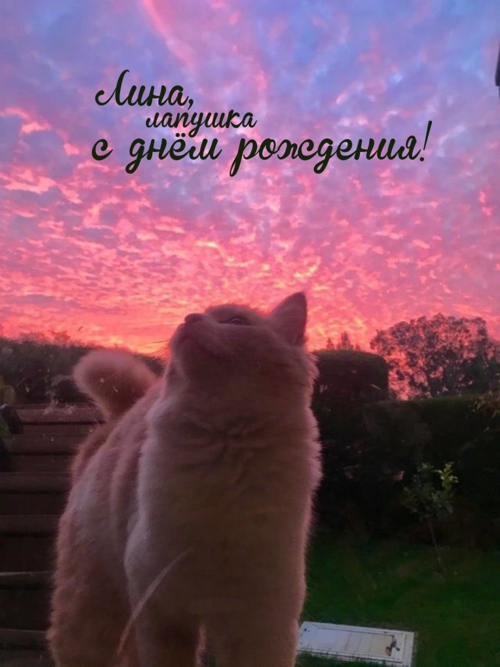 ,    !