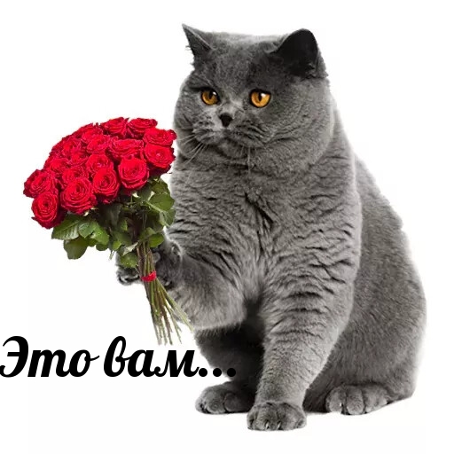   :  ...