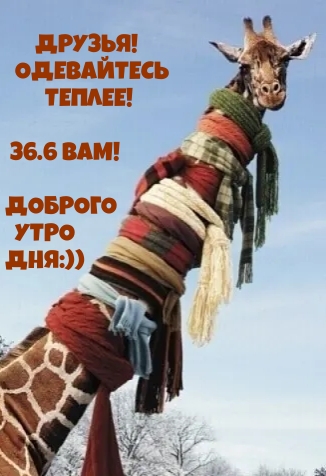   : !  !
