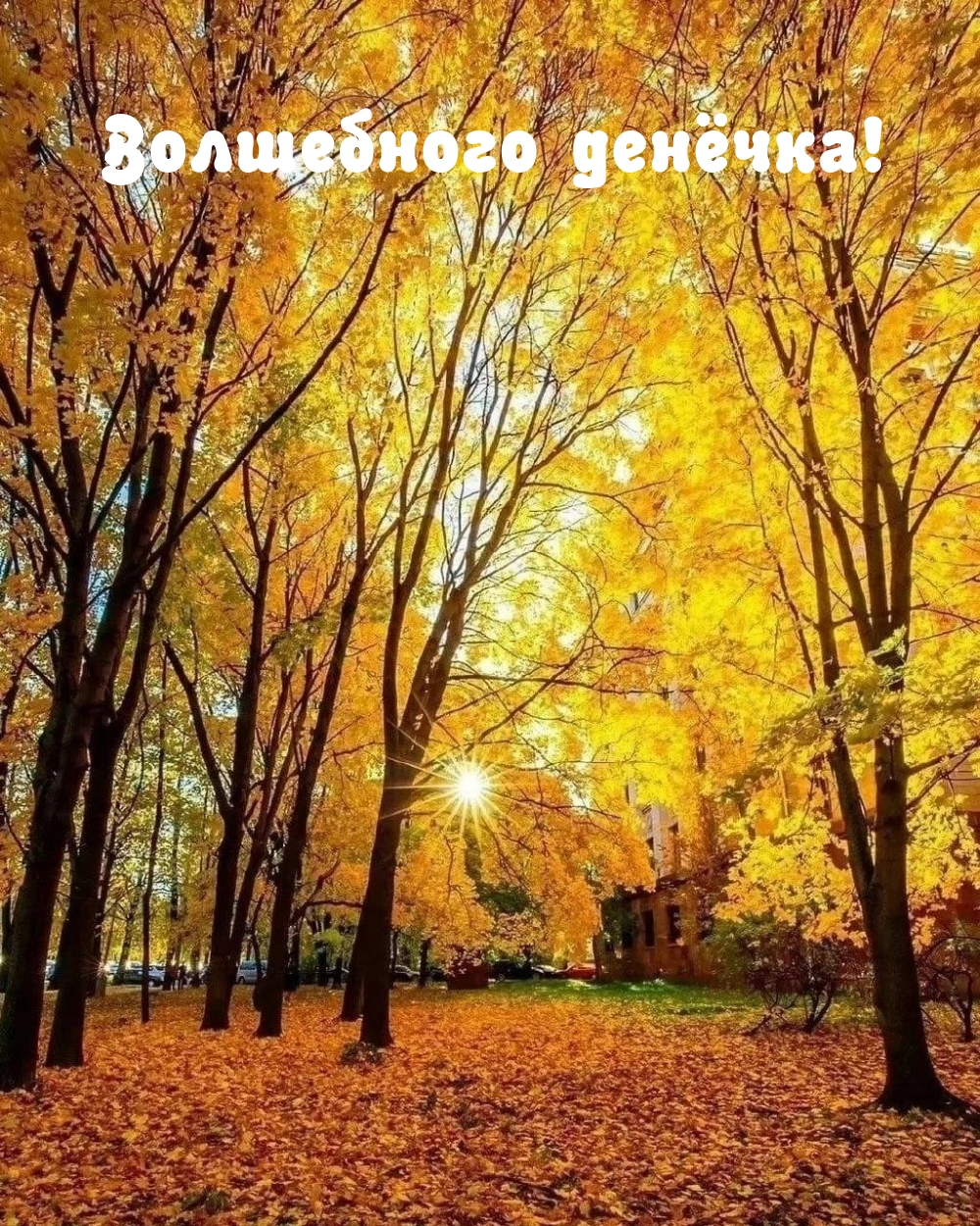  !