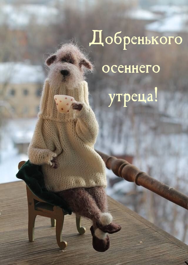   :   !