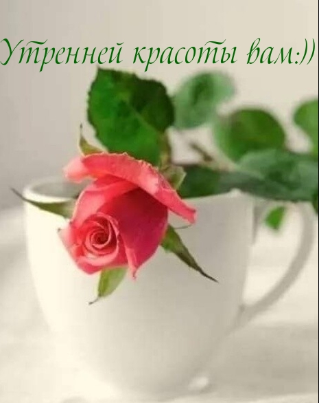   :)).