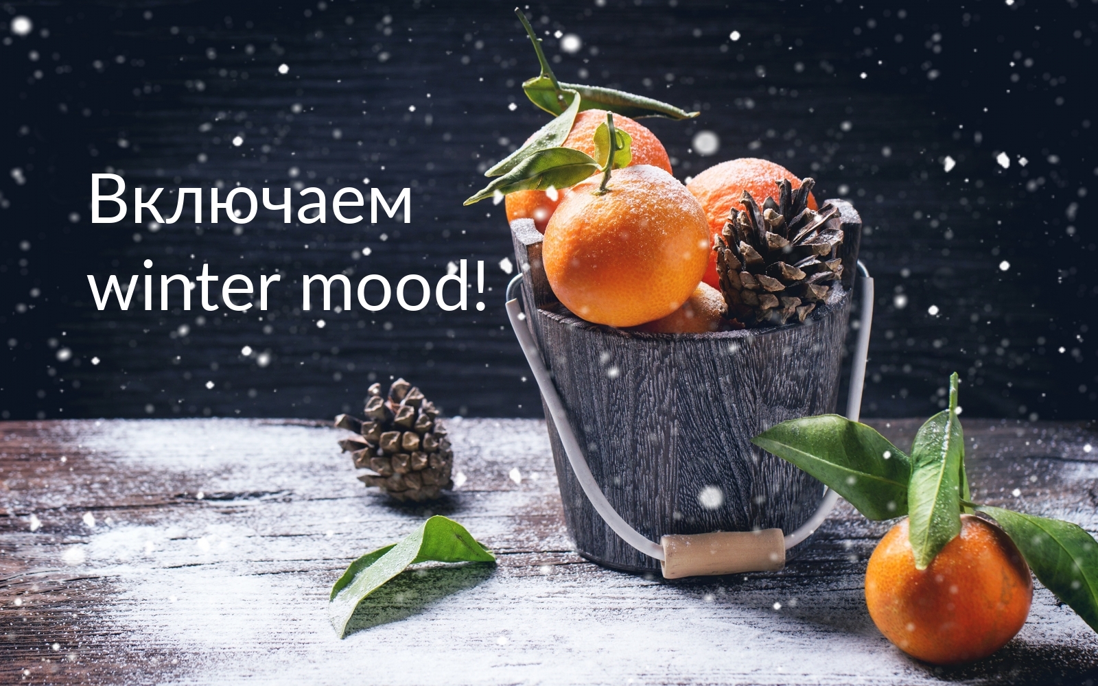  :  winter mood!