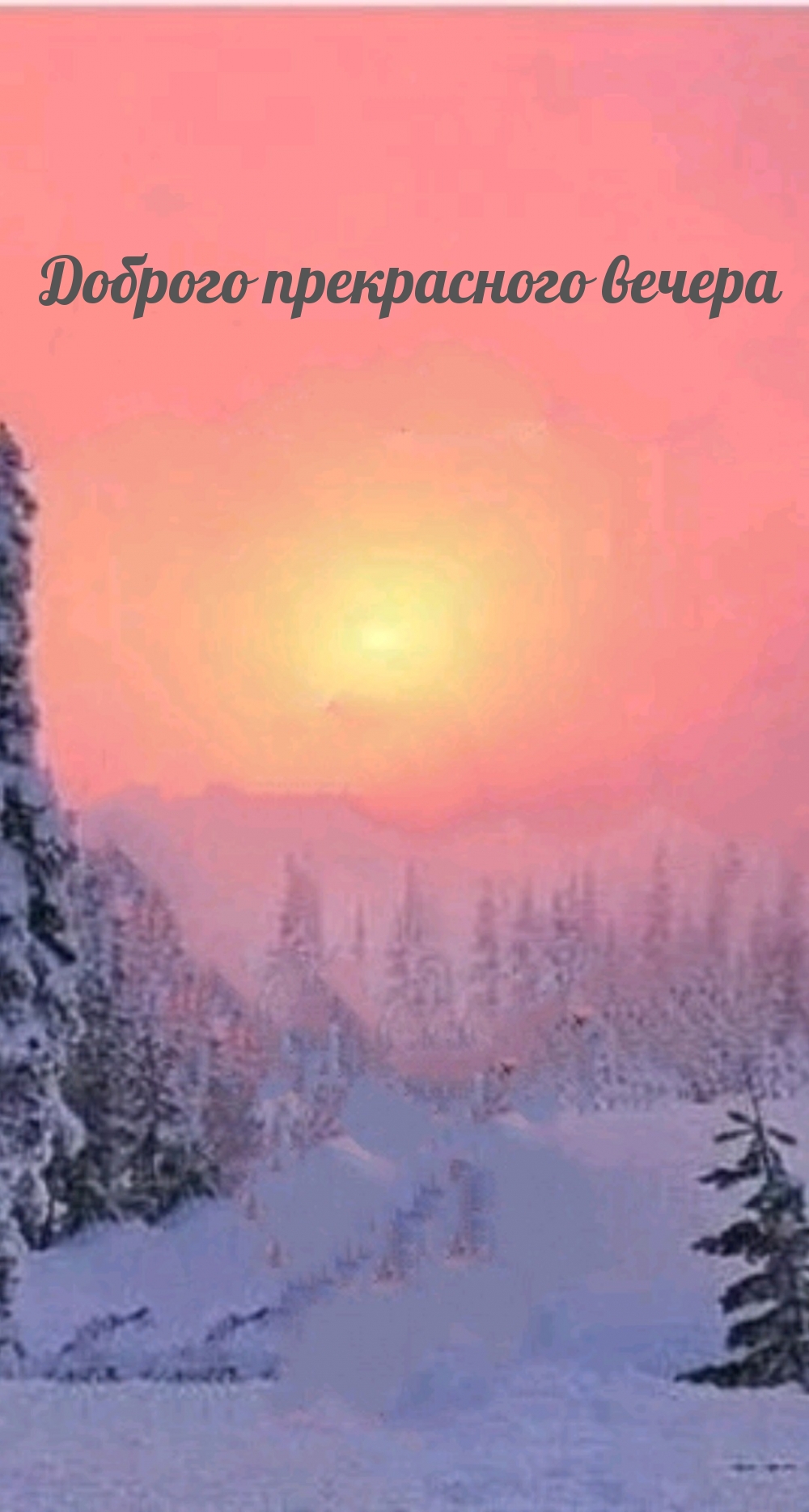   :   