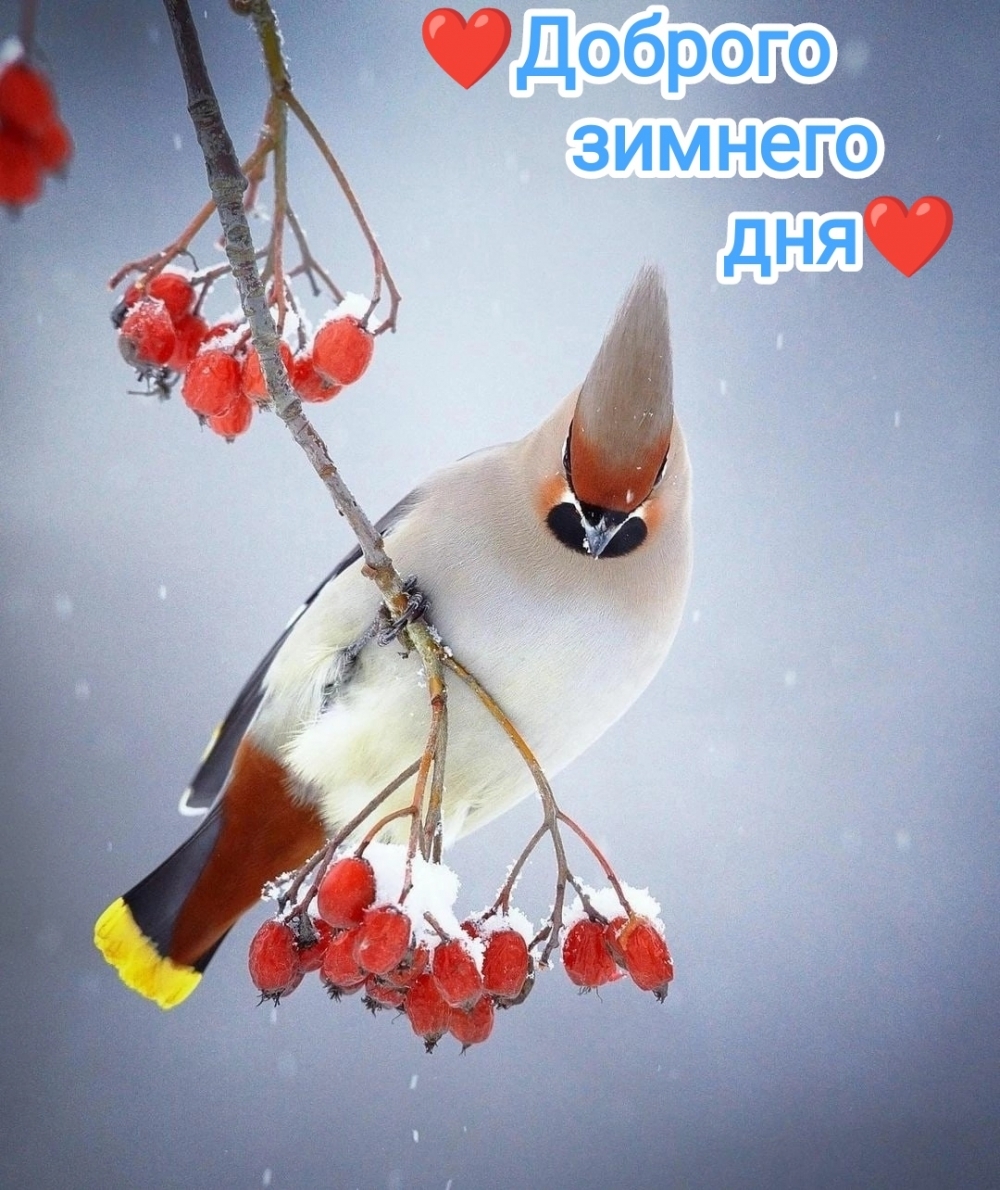 �������� � ��������� ������� ������� ���!