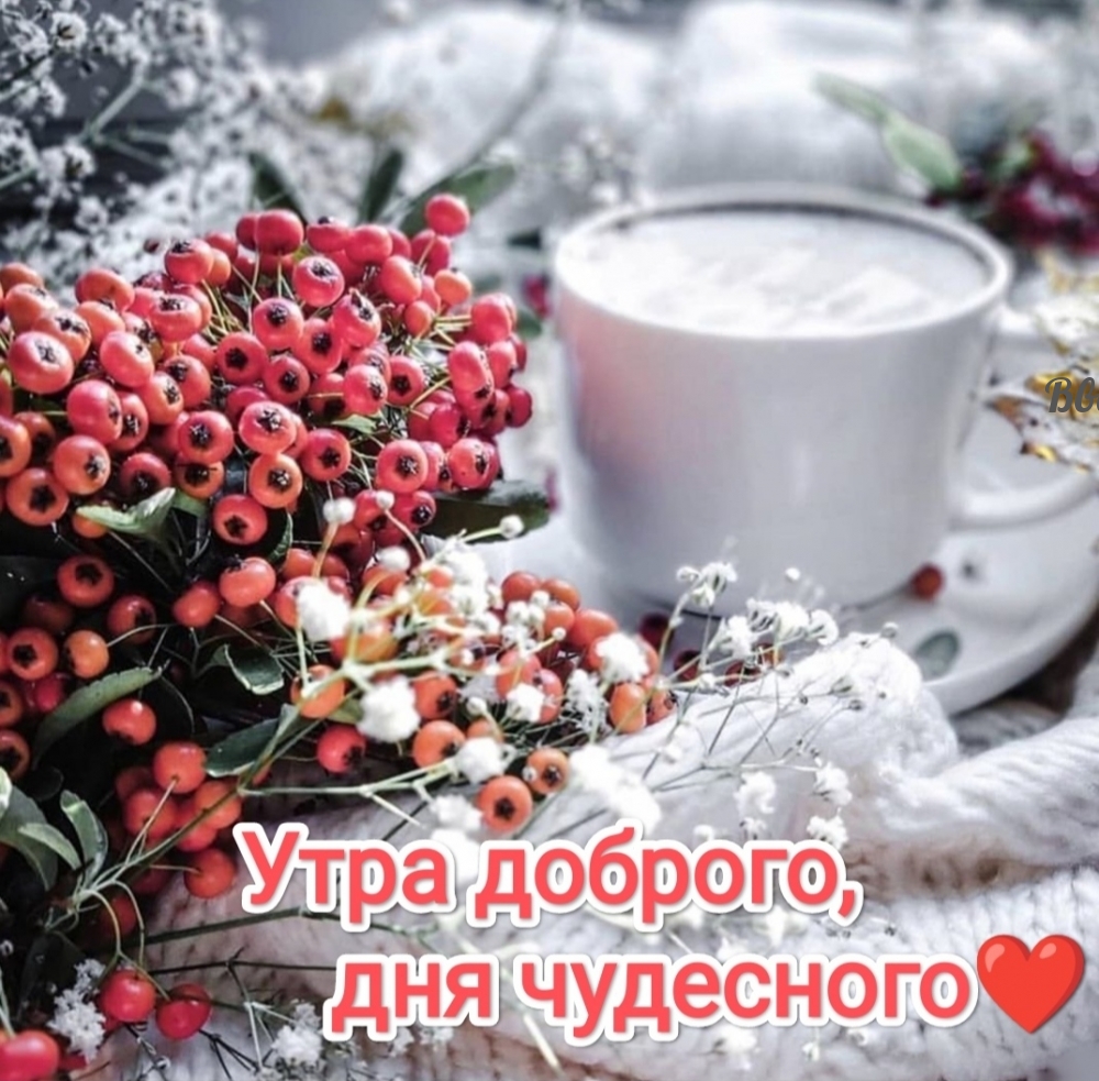 Утра доброго, дня чудесного!