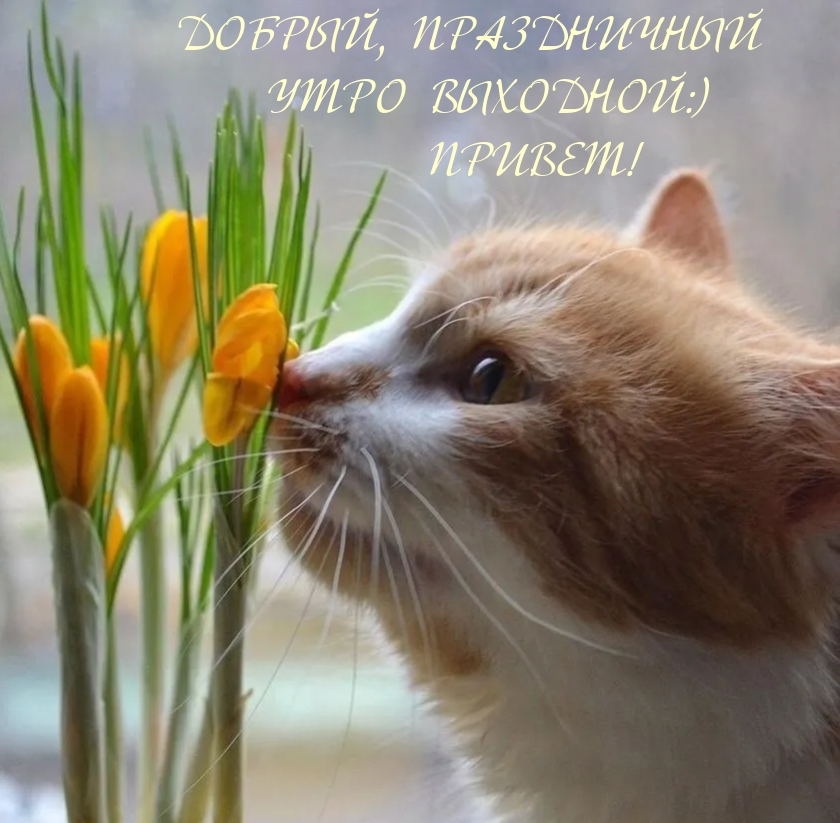   : ,   :) !