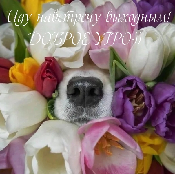   :   !  :))