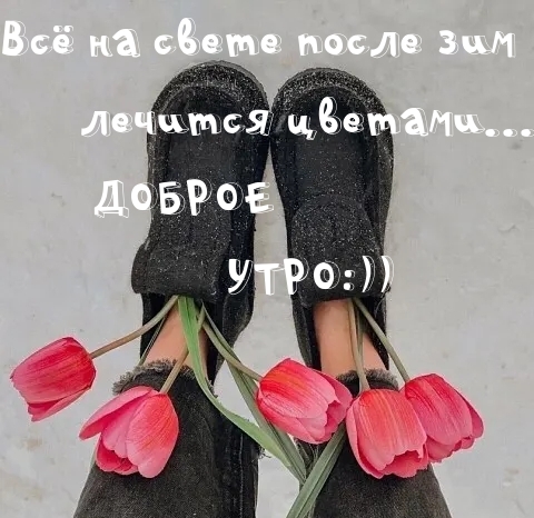   :       ...