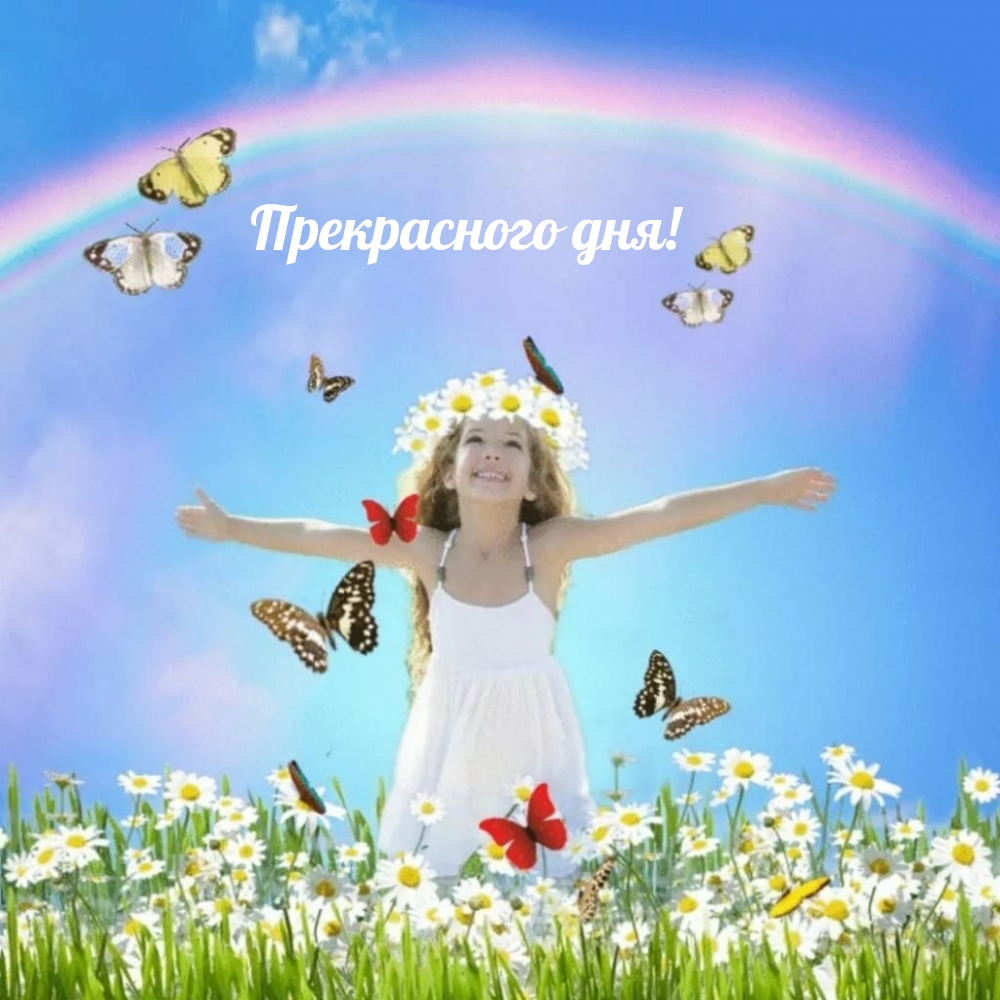 �������� � ��������: ����������� ���!