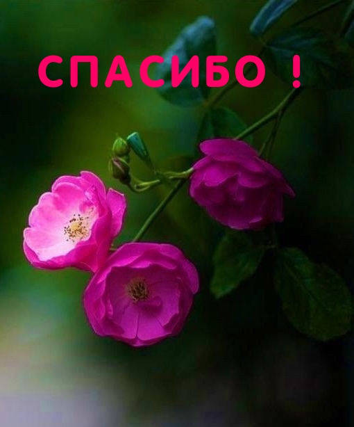 !.