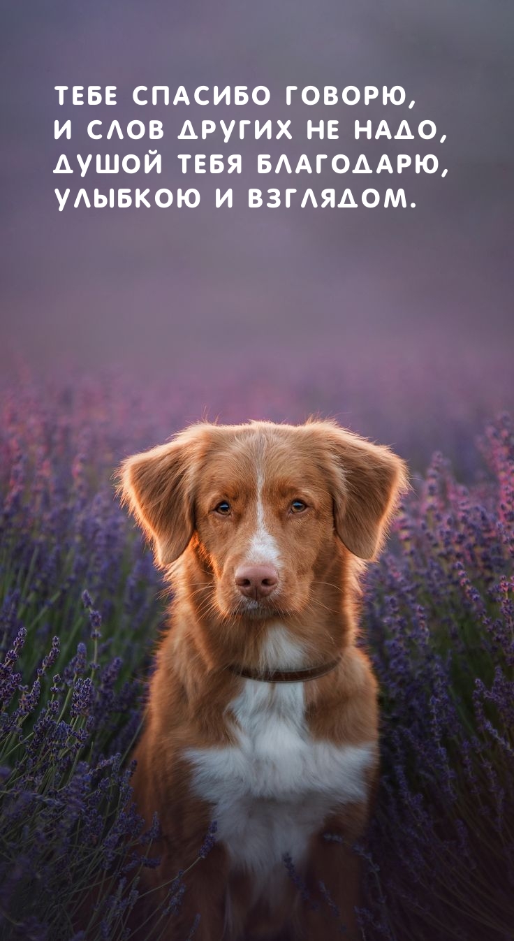 �������� � ��������: ���� ������� ������, � ���� ������ �� ����, ����� ���� ���������