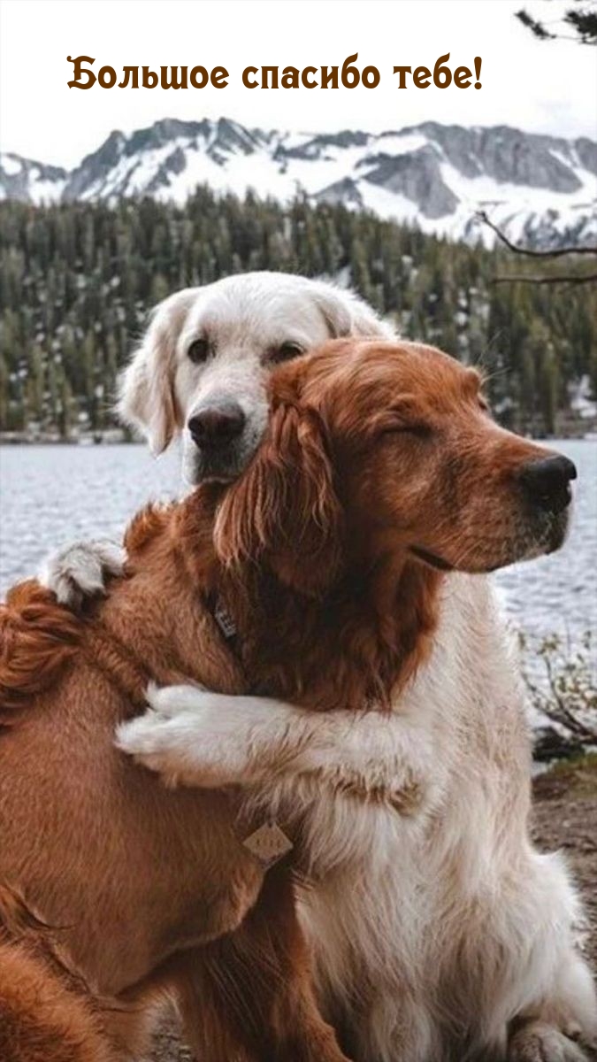  :   !