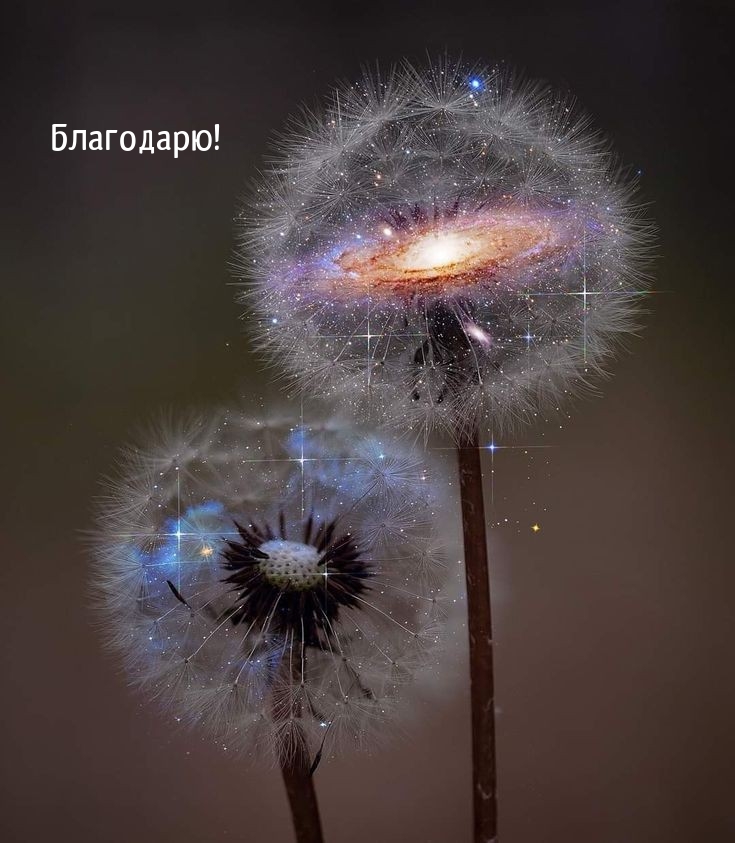 !
