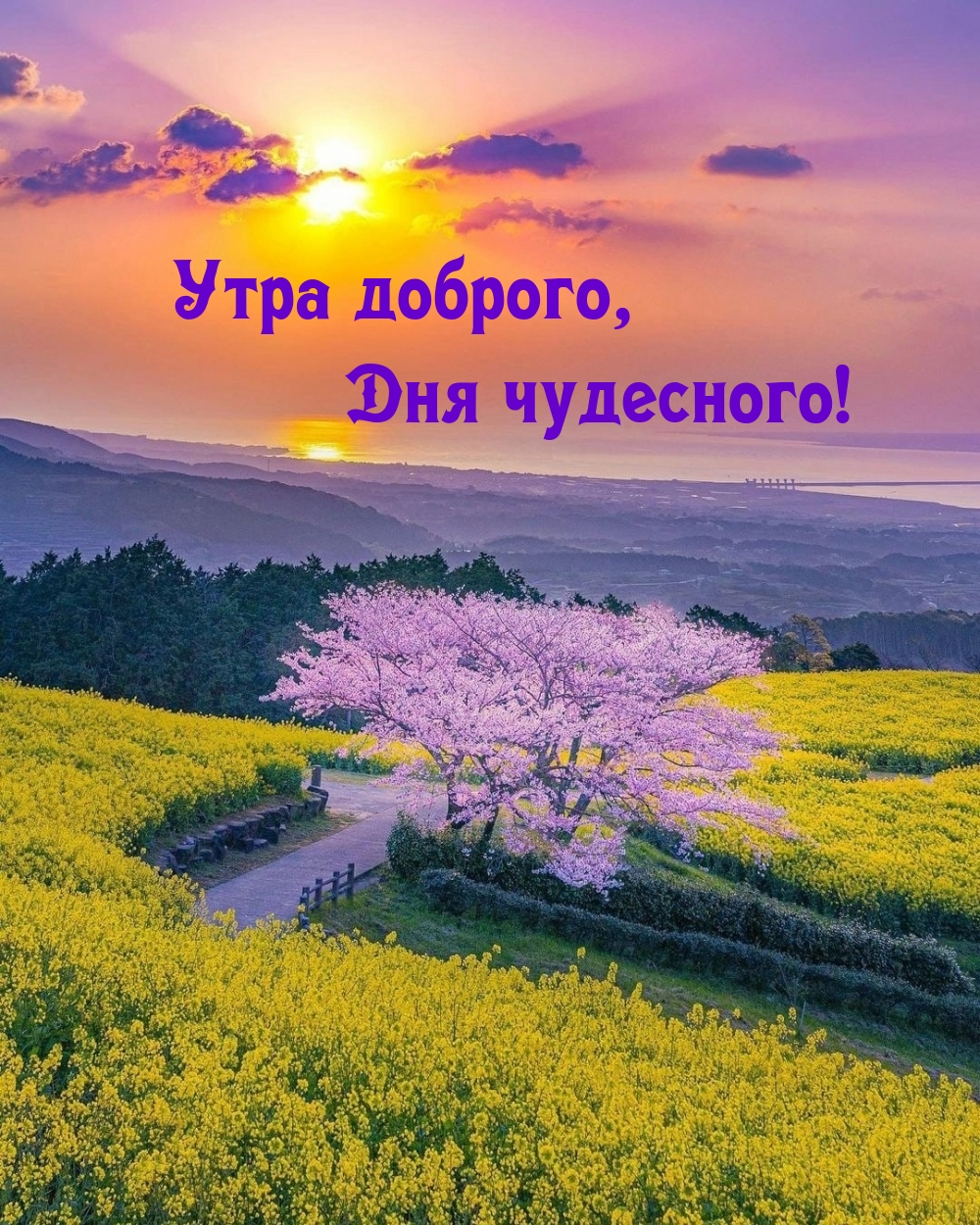 ,  !