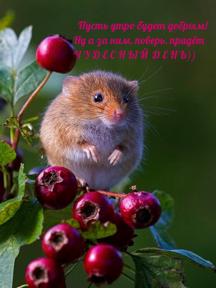    !    , , 
