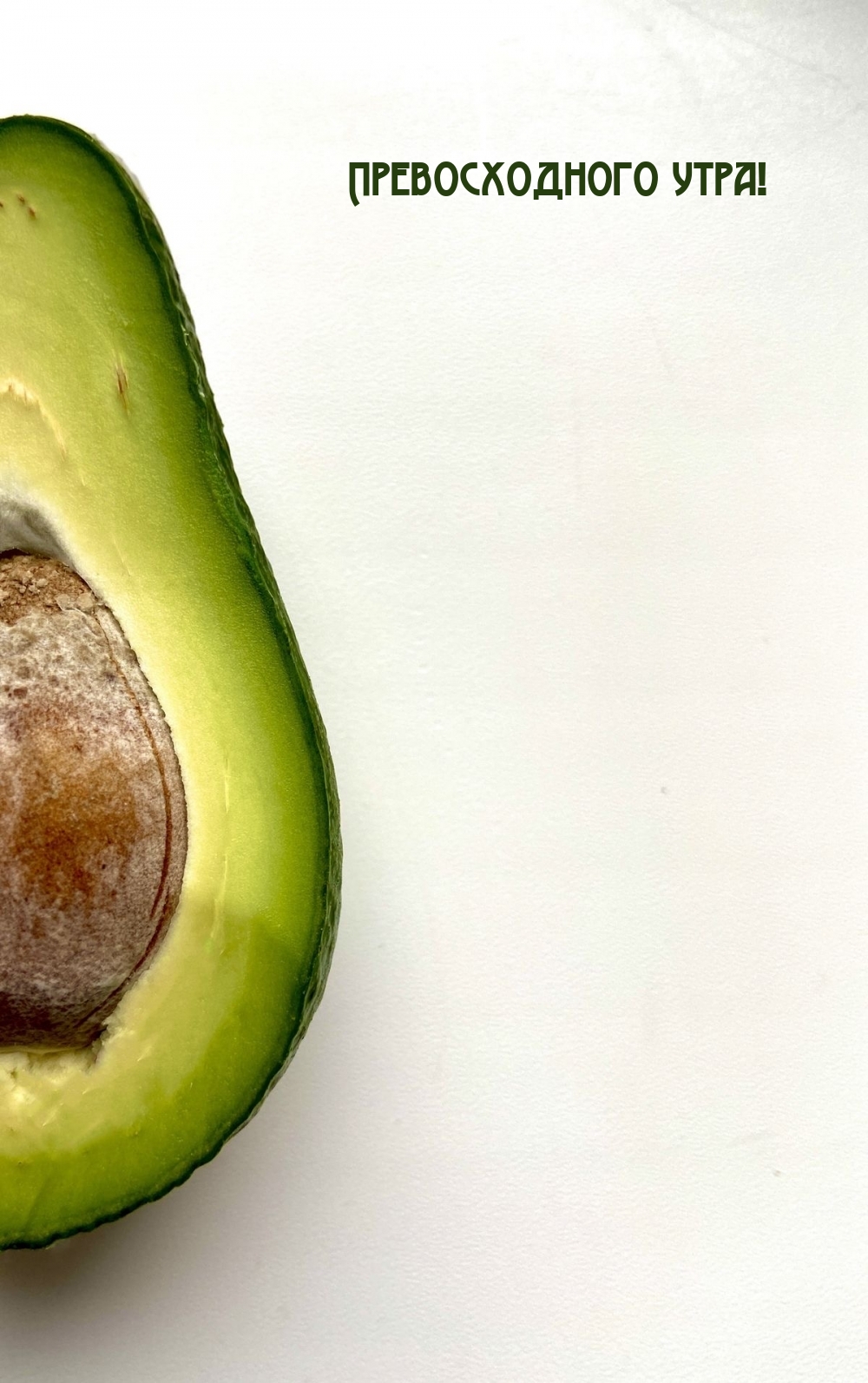 �������� � ��������: ������������� ����!