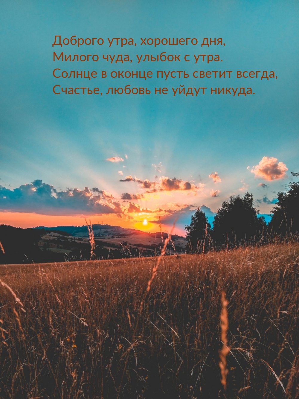  ,  ,  ,   .