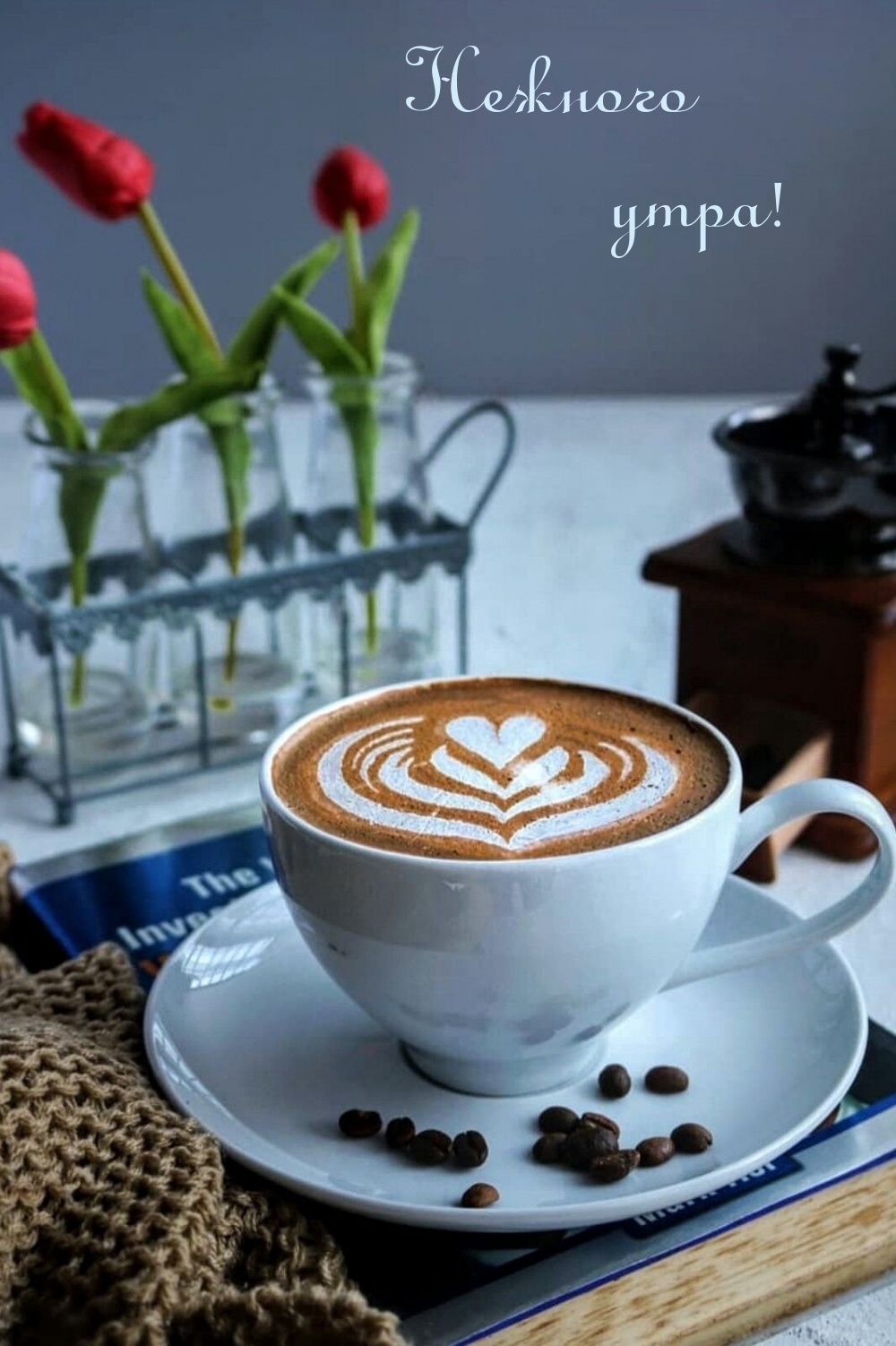 �������� � ��������: ������� ����!