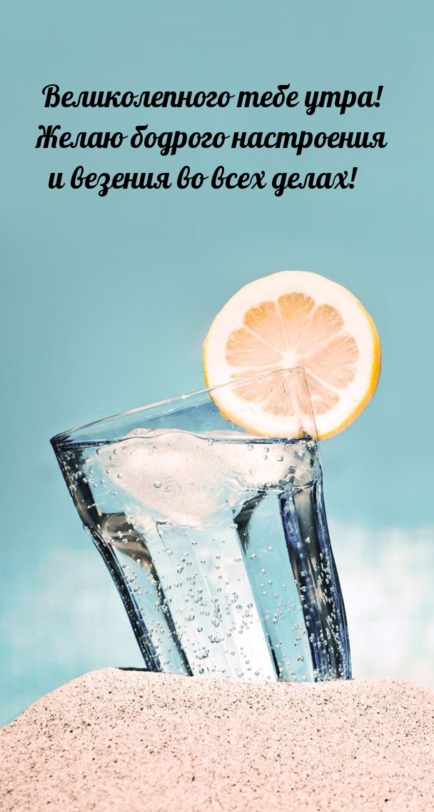 �������� � ��������: ������������� ���� ����! ����� ������� ����������