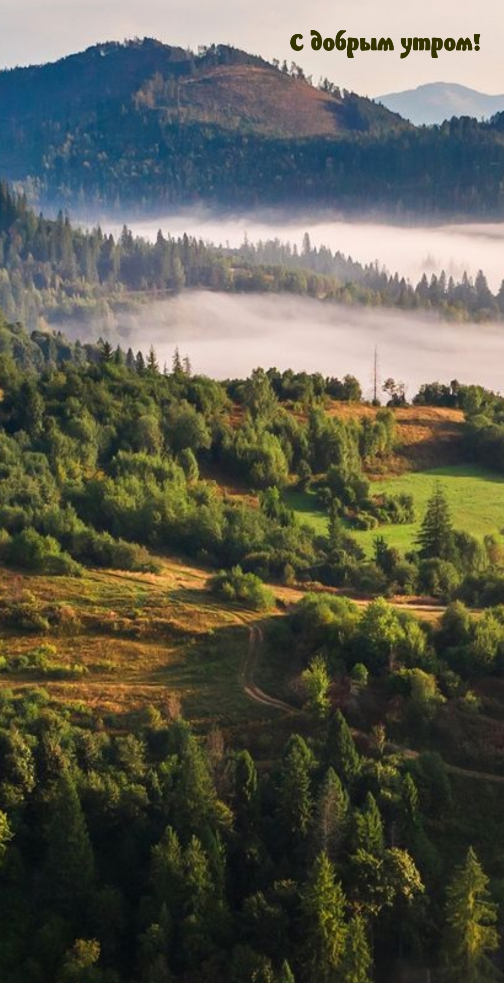 �������� � ��������: � ������ �����!