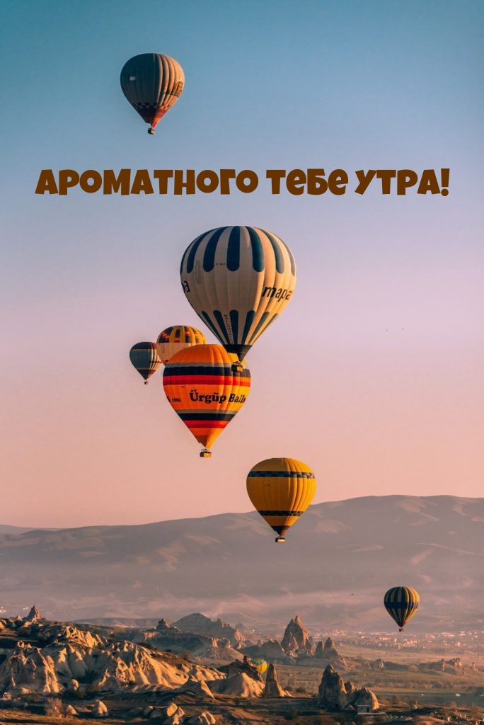   !.
